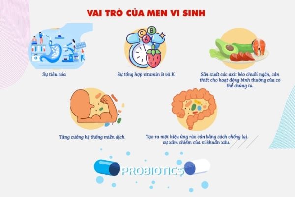 Men vi sinh là gì ? Cách sử dụng men vi sinh hiệu quả