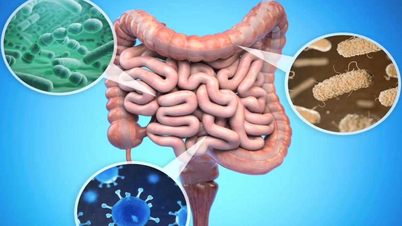 Tại sao nên cho con dùng men vi sinh ngay từ khi còn nhỏ ?