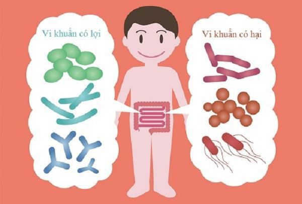 Những lưu ý quan trọng khi sử dụng men vi sinh cho con mà mẹ nào cũng nên biết.
