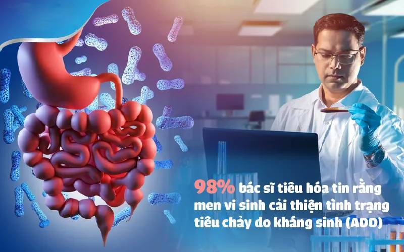 Kết hợp bổ sung lợi khuẩn khi đang dùng kháng sinh – lời khuyên của chuyên gia