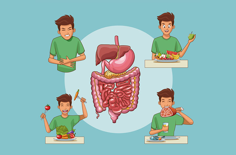 Hệ tiêu hóa có vai trò như thế nào đối với sự phát triển toàn diện của trẻ 