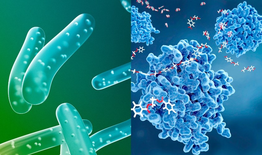 so-lieu-chung-minh-nguoi-su-dung-khang-sinh-co-nguy-co-cao-mac-tieu-chay