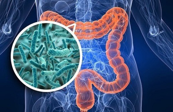 Thời Tiết Giao Mùa Khiến Con Hay Bị Ốm Vặt – Giải Pháp Tăng Cường Đề Kháng Bằng Men Vi Sinh Ramsun